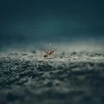 Marmeladams gali prireikti naujų etikečių po Brexito susitarimo