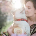 Pavasario sveikatos priemonės, skirtos augintiniams: kaip išlaikyti gyvūnus laimingus ir sveikus