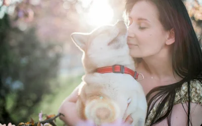 Pavasario sveikatos priemonės, skirtos augintiniams: kaip išlaikyti gyvūnus laimingus ir sveikus