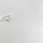 Google AI: nauji tyrimai atskleidžia klaidingų atsakymų gausą