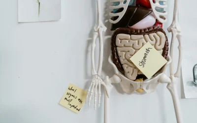 Tiesa ar mitas? Išbandyk savo žinias apie mokslą, gamtą ir žmogaus kūną!