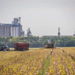 Rask nereikalingą elementą!