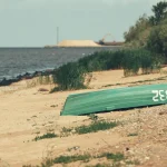 Baltijos šalių sveikatos krizės parengties stiprinimas
