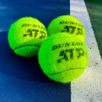 Lukas Bergas laimi pirmąjį ATP turo titulą Eastbourne