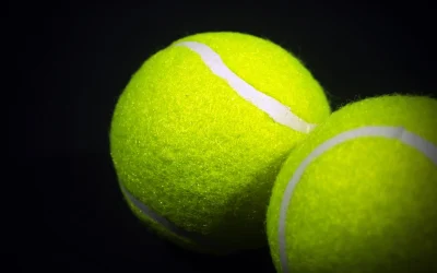 Dimitrovo Wimbledon svajonė tęsiasi po klasikinio mačo su Berrettini